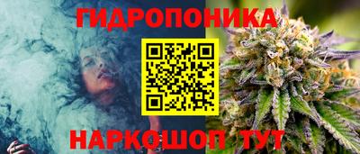 стафф Канаш