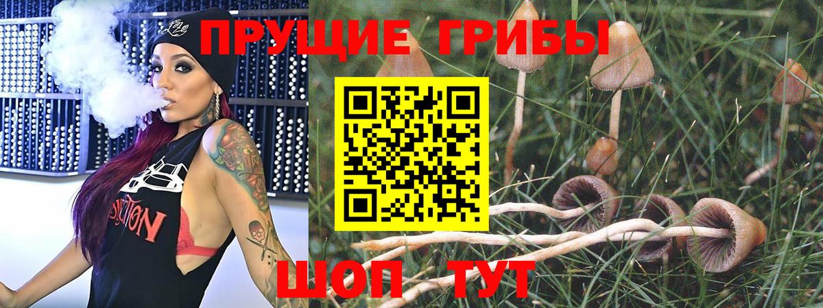 Псилоцибиновые грибы Psilocybe  Псилоцибиновые грибы прущие грибы  Вход с VPN  Куйбышев 